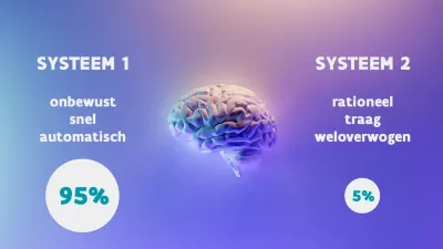 systeemdenken