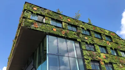 gebouw met groene gevel