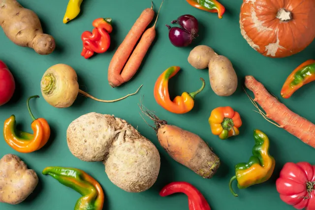 Visual FoodWasteFest