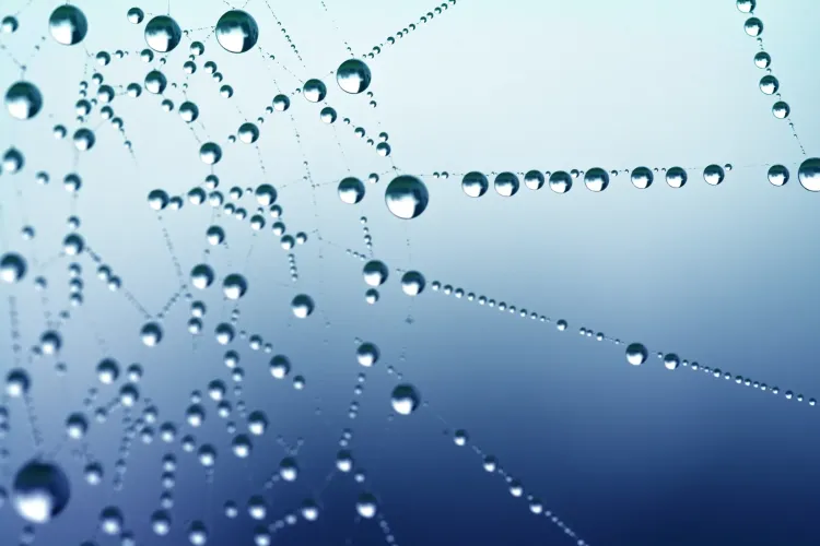 WA waterkringlopen